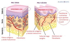 PIel