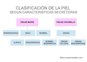 Descubre cual es tu tipo de piel